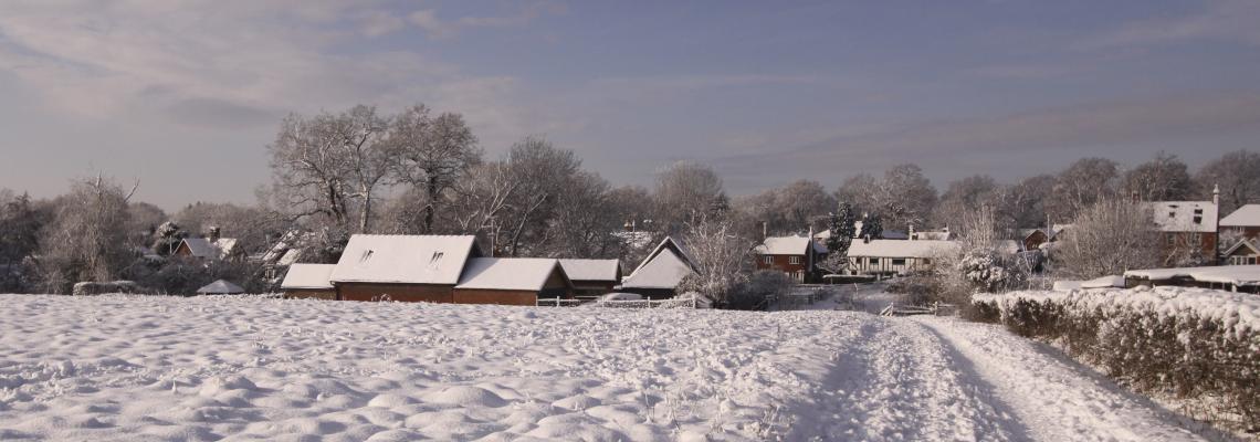 Snowy Ockley